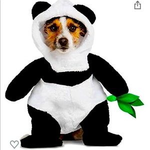 THRILLS & CHILLS - Panda Dog Costume